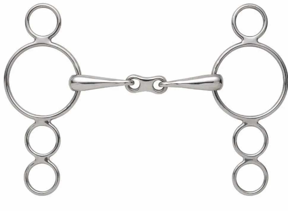 3 Ring Dutch Gag With French Link