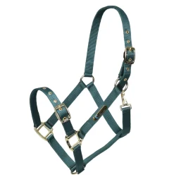 ARMA Adjustable Headcollar