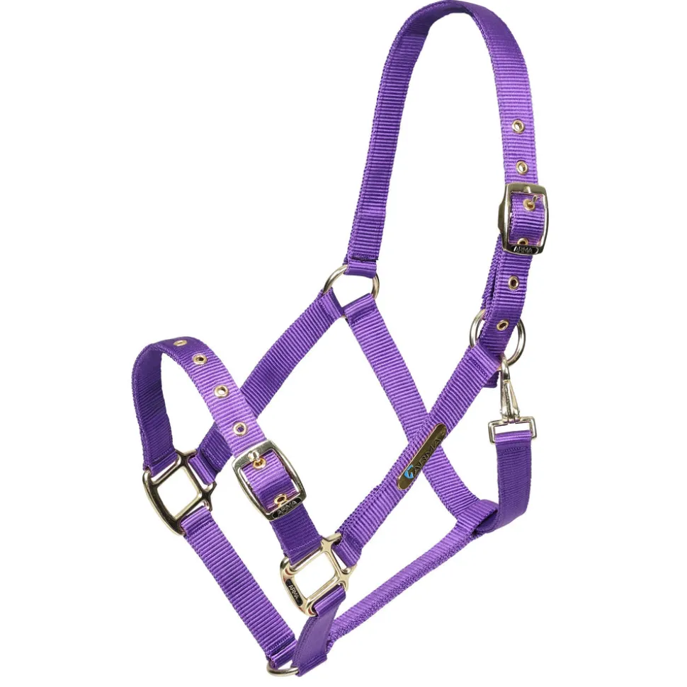 ARMA Adjustable Headcollar