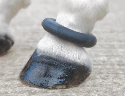 ARMA Fetlock Ring