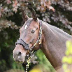 ARMA Fleece Headcollar & Lead Rope