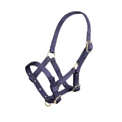 ARMA Foal Headcollar
