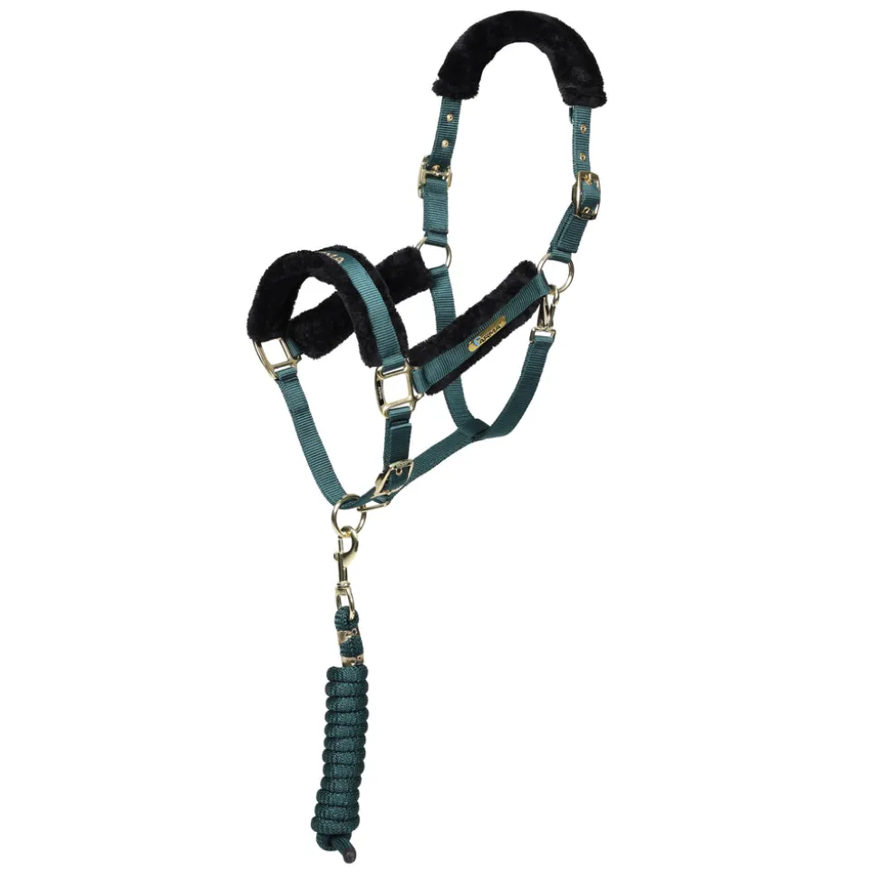 ARMA Logo Headcollar & Lead Rope