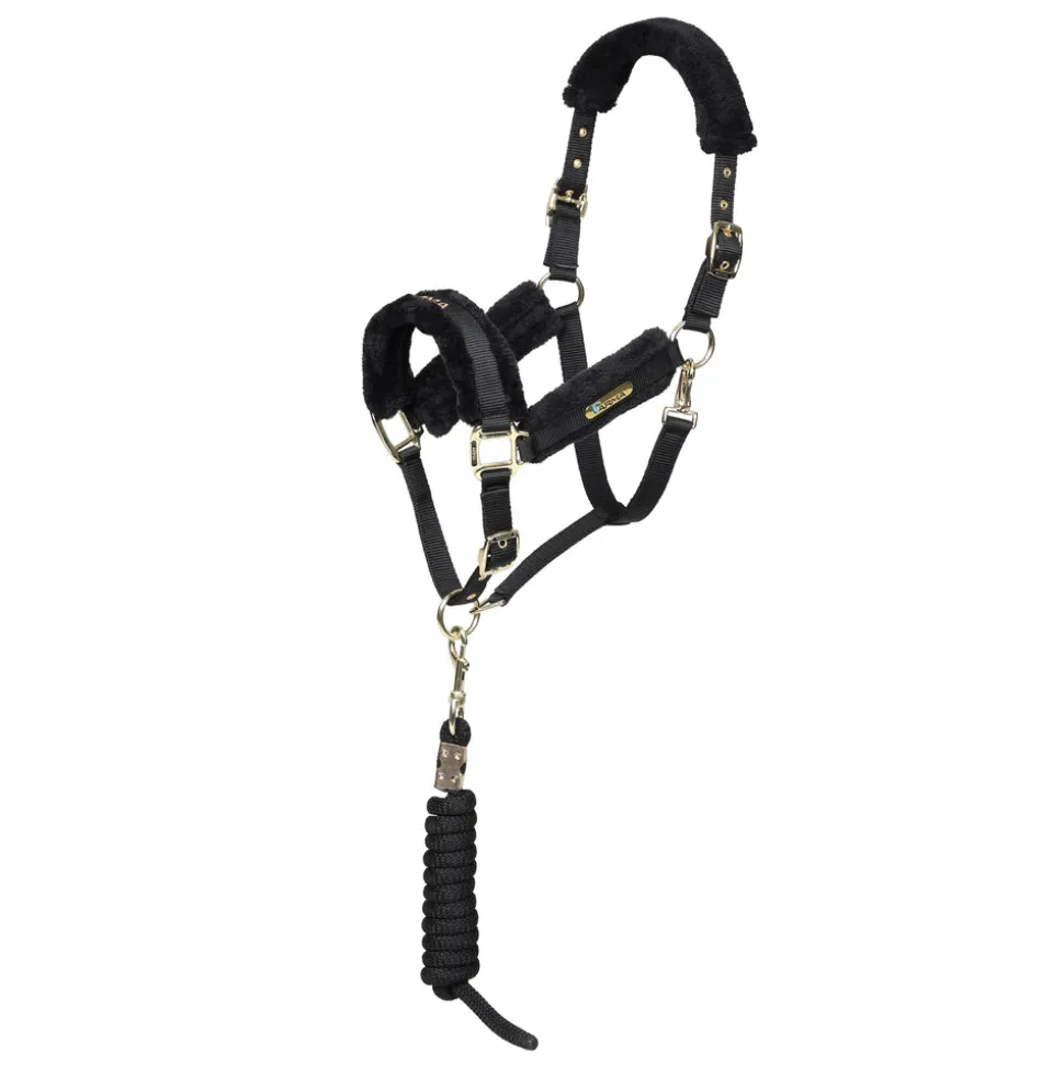 ARMA Logo Headcollar & Lead Rope