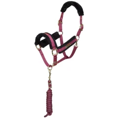 ARMA Logo Headcollar & Lead Rope