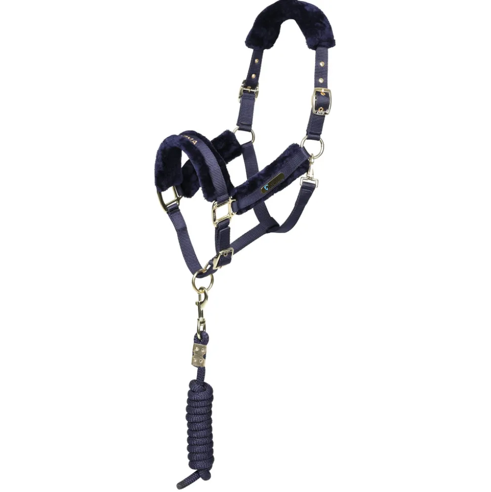 ARMA Logo Headcollar & Lead Rope