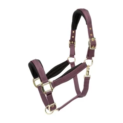 ARMA Padded Headcollar