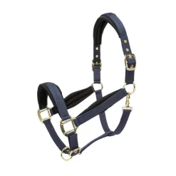 ARMA Padded Headcollar