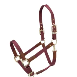 ARMA Porto Headcollar