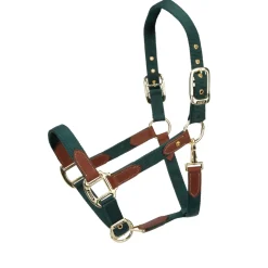 ARMA Porto Headcollar