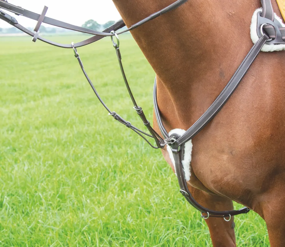Avignon 5 Point Breastplate