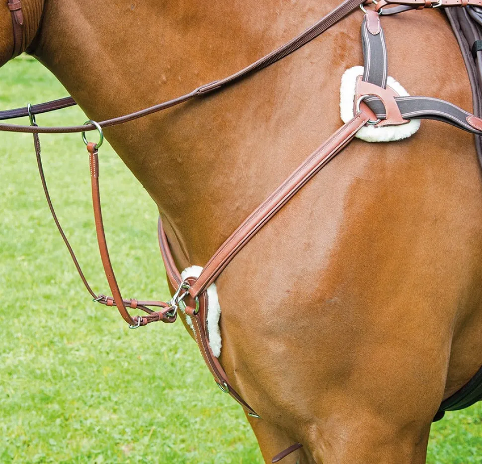 Avignon 5 Point Breastplate