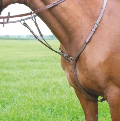 Avignon Breastplate