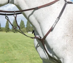 Avignon Breastplate