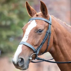 Avignon Hunter Cavesson Bridle