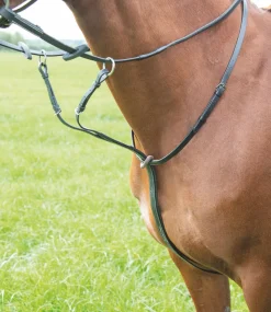 Avignon Running Martingale