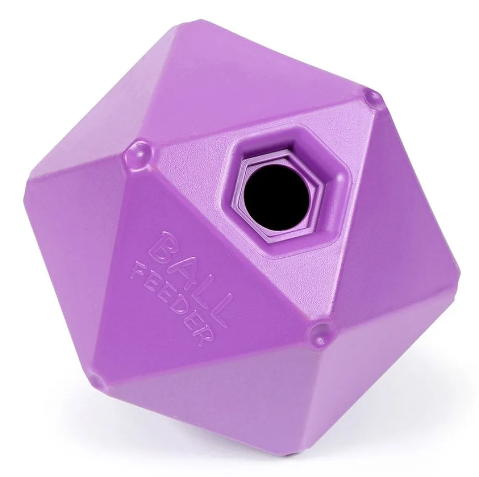 Ball Feeder