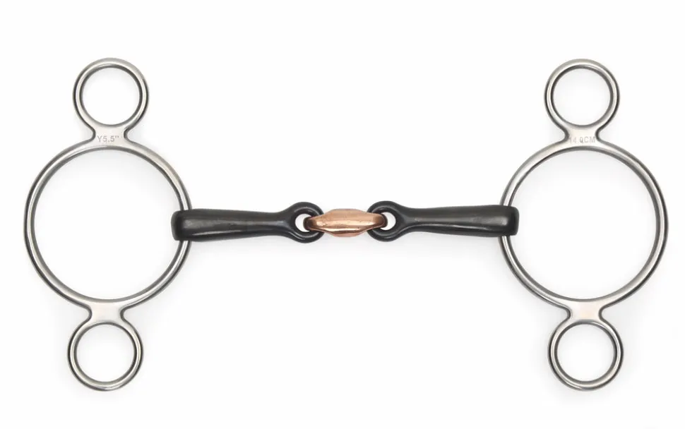 Black Sweet Iron Two Ring Gag