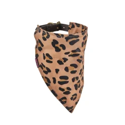 Digby & Fox Bandana