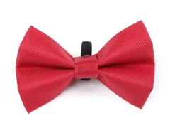 Digby & Fox Bow Tie
