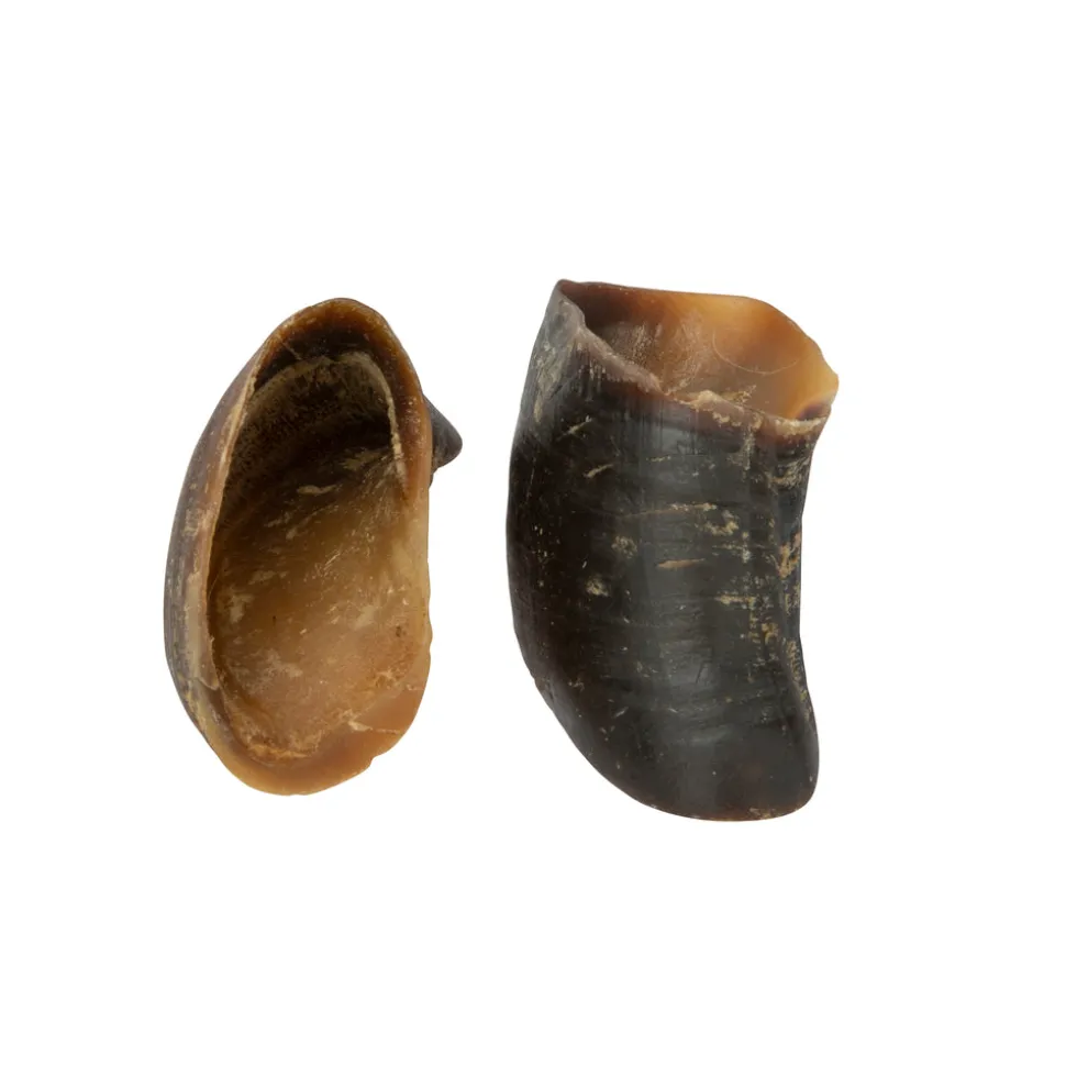 Digby & Fox Buffalo Hoof