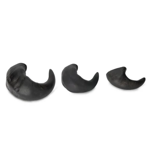 Digby & Fox Buffalo Horns