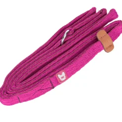 Digby & Fox Cushion Web Slip Lead
