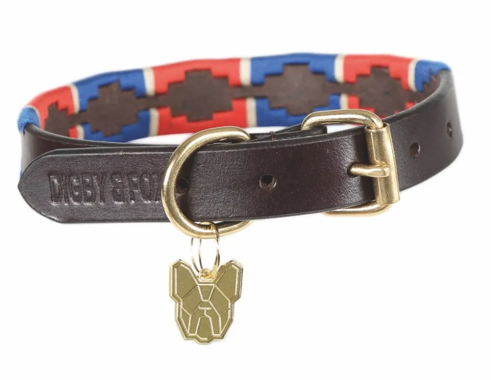Digby & Fox Drover Polo Dog Collar