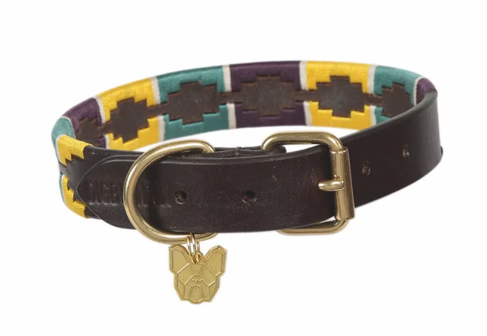 Digby & Fox Drover Polo Dog Collar
