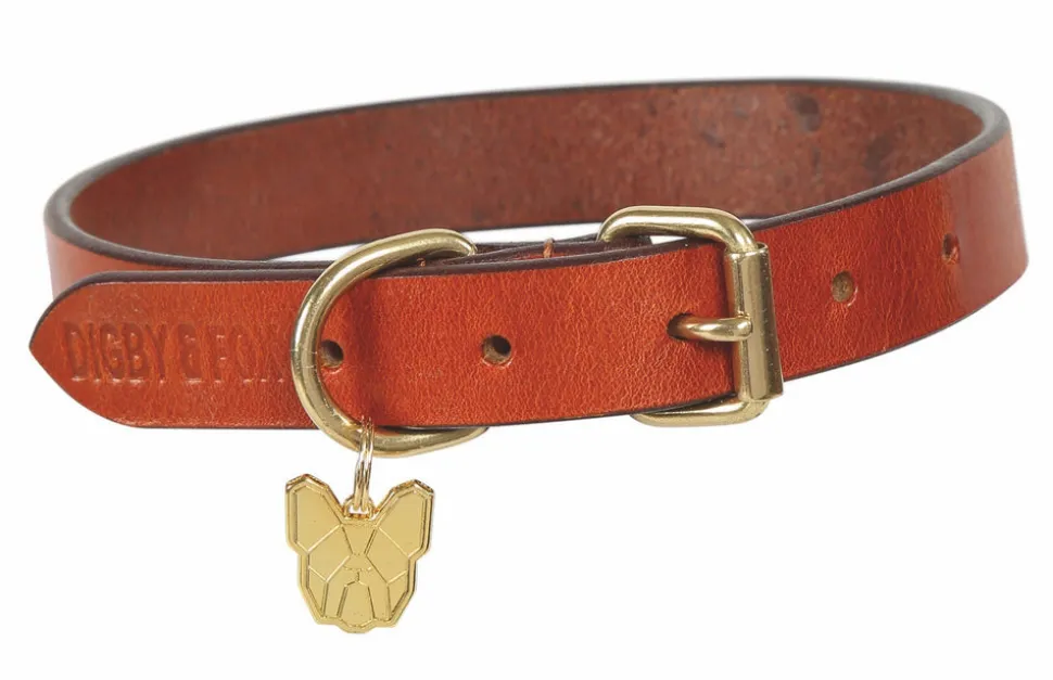Digby & Fox Flat Leather Dog Collar