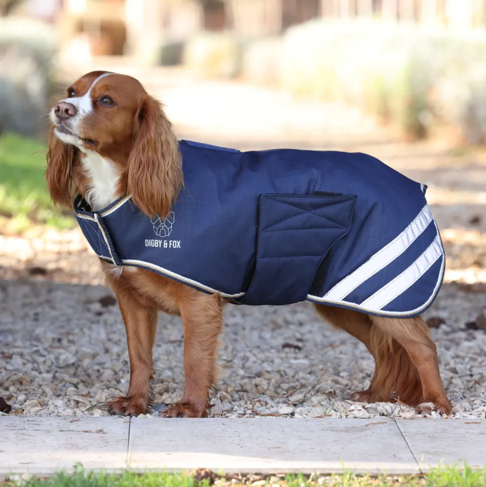 Digby & Fox Lite Waterproof Dog Coat