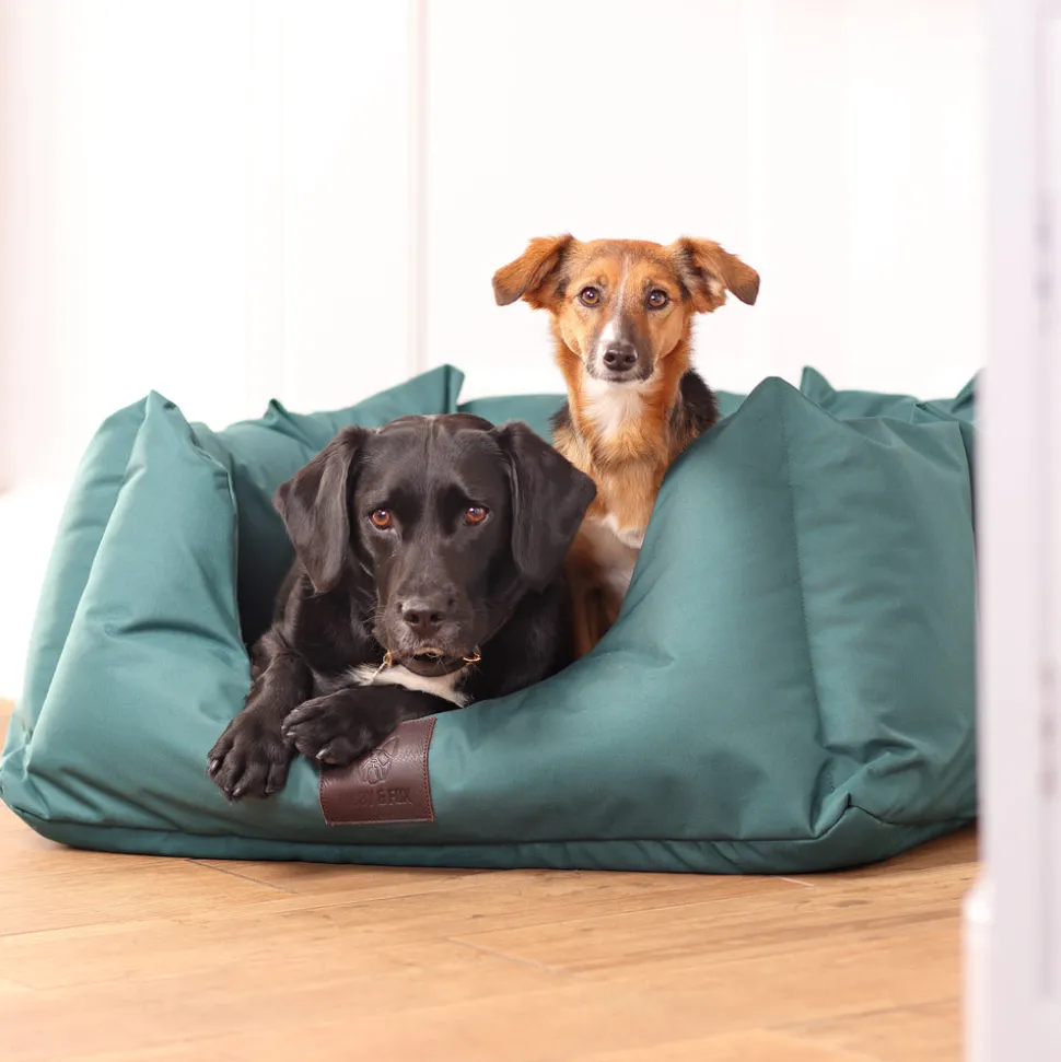 Digby & Fox Nest Dog Bed