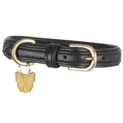 Digby & Fox Padded Leather Dog Collar