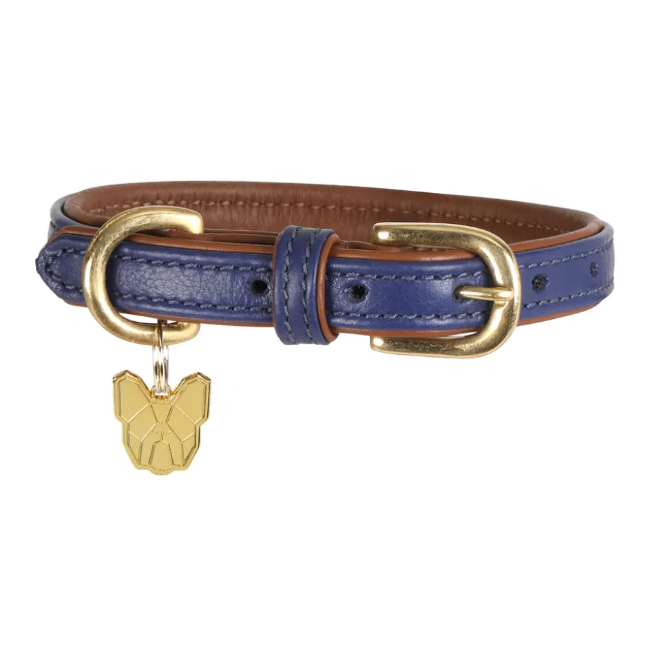 Digby & Fox Padded Leather Dog Collar