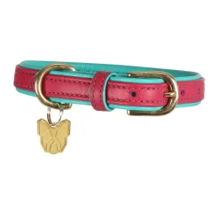 Digby & Fox Padded Leather Dog Collar