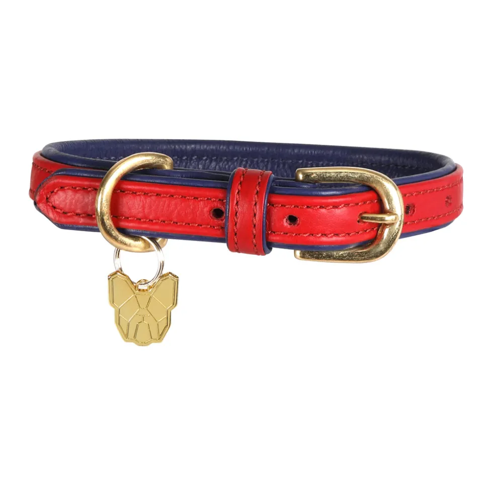 Digby & Fox Padded Leather Dog Collar