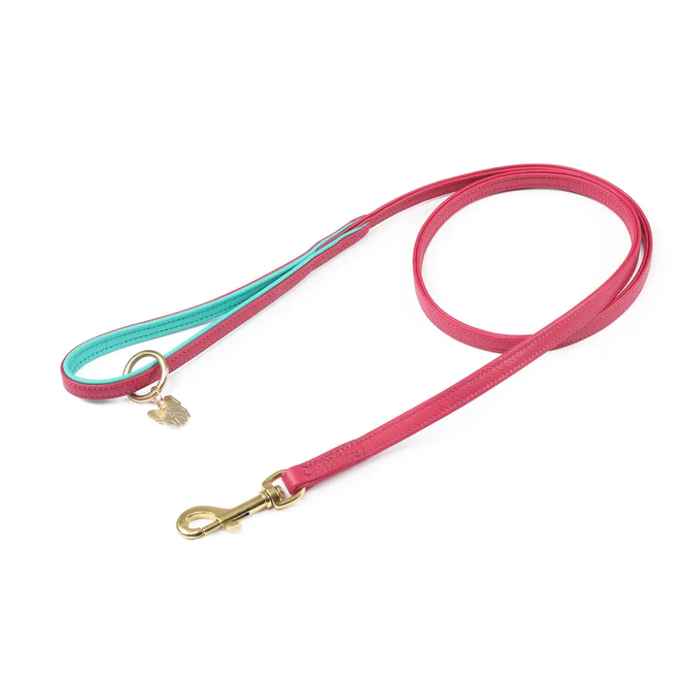 Digby & Fox Padded Leather Dog Lead