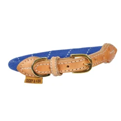 Digby & Fox Reflective Dog Collar