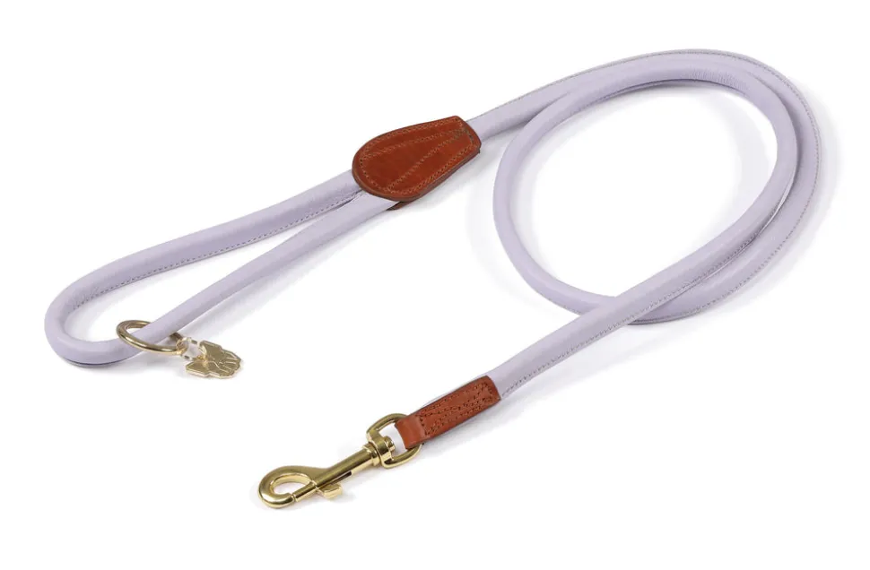 Digby & Fox Rolled Leather Dog Lead