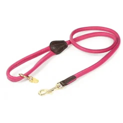 Digby & Fox Rolled Leather Dog Lead