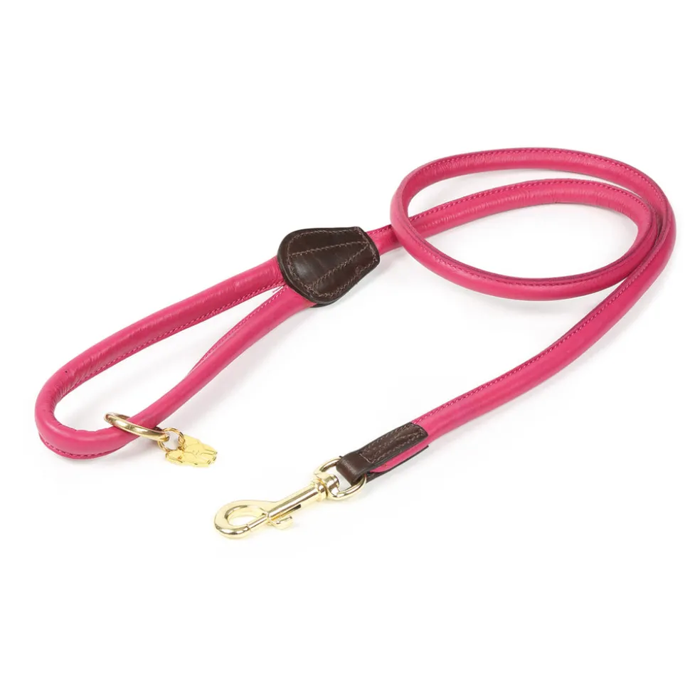 Digby & Fox Rolled Leather Dog Lead