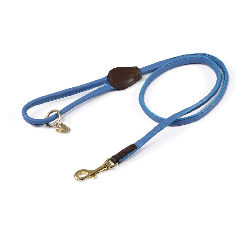 Digby & Fox Rolled Leather Dog Lead