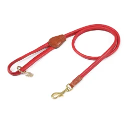 Digby & Fox Rolled Leather Dog Lead