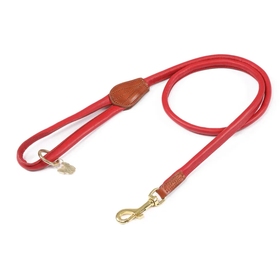 Digby & Fox Rolled Leather Dog Lead