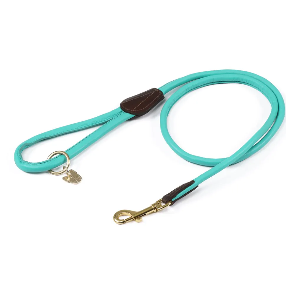Digby & Fox Rolled Leather Dog Lead