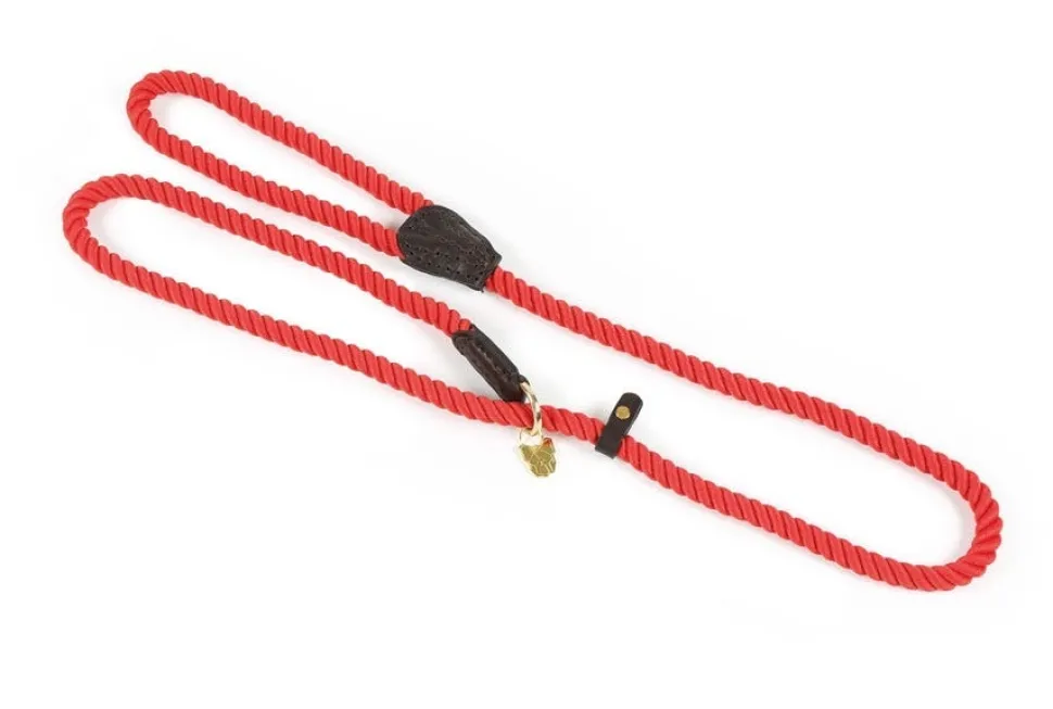 Digby & Fox Rope Slip Dog Lead