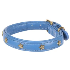 Digby & Fox Star Dog Collar