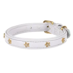 Digby & Fox Star Dog Collar
