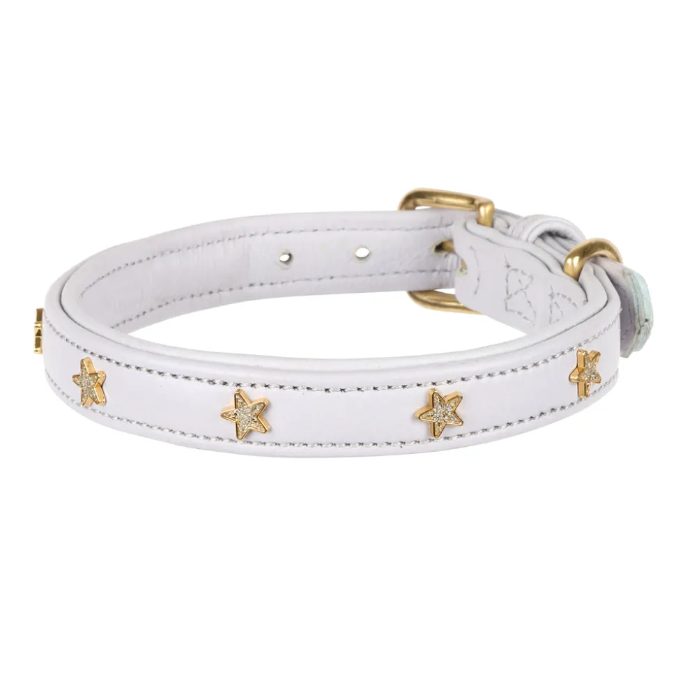 Digby & Fox Star Dog Collar