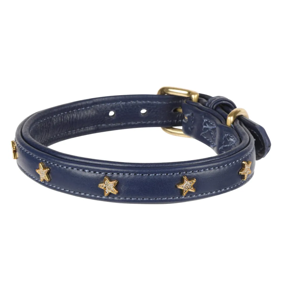 Digby & Fox Star Dog Collar